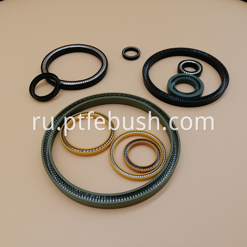 Spring Energized Seal 19